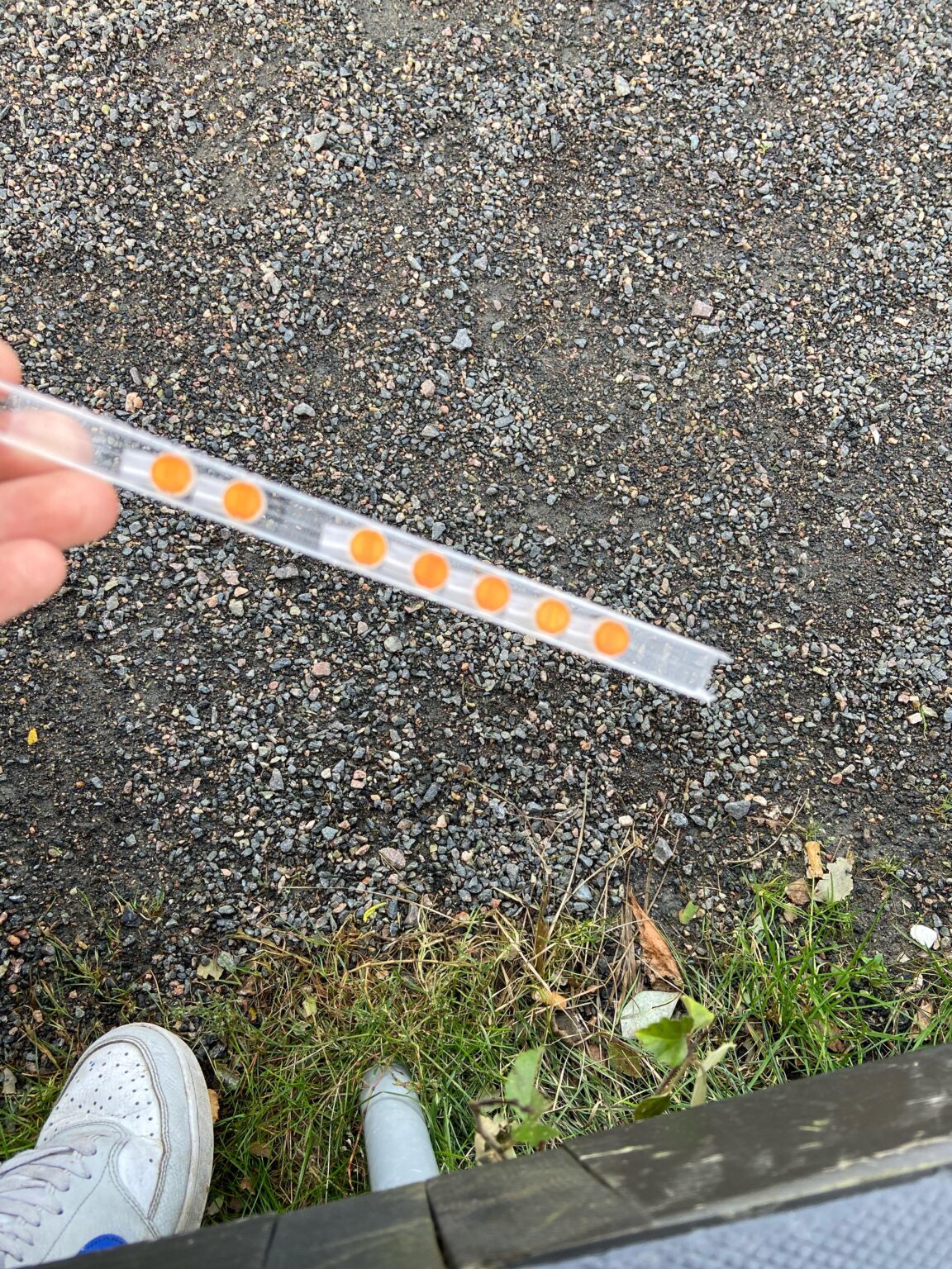 これは何なのか教えてもらえますか