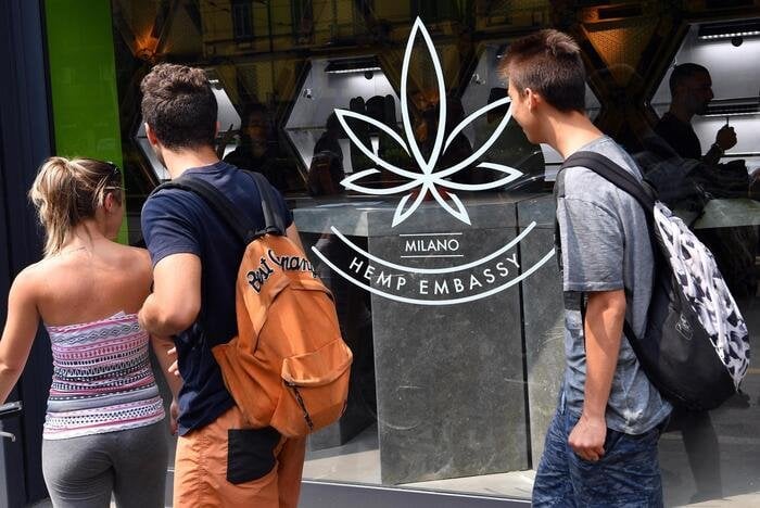 大麻ライト、TARが経口使用製品の禁止を一時停止 - ニュース