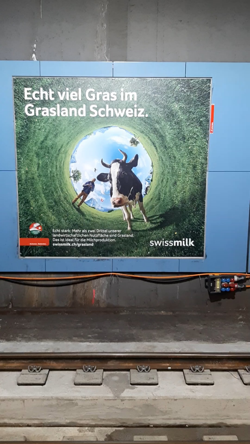スイスの草原には、確かに草がたくさんあります。