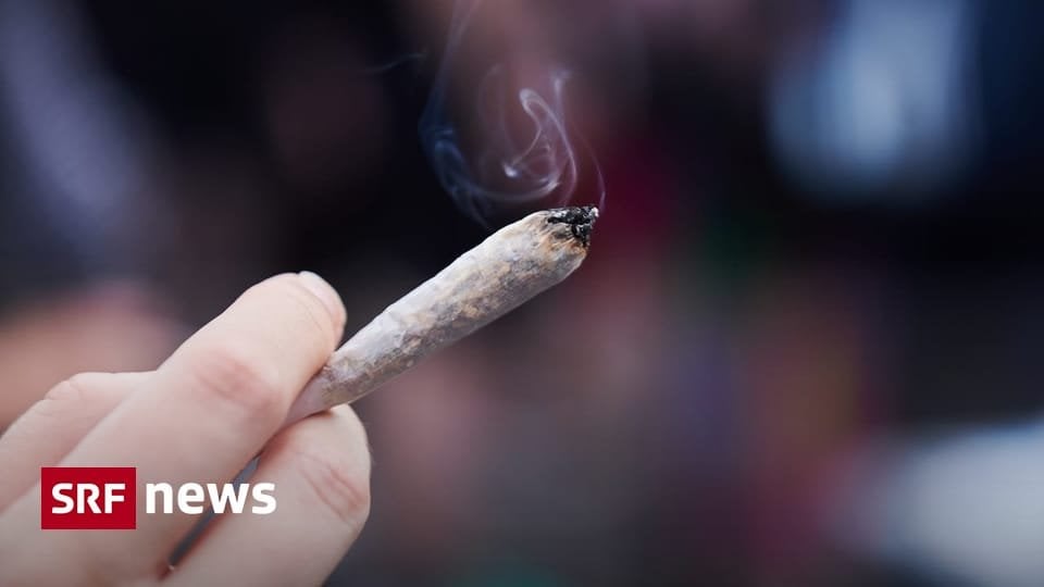 バーゼル地域でパイロットテスト - ドイツ企業がスイスで最大規模の大麻テストを開始