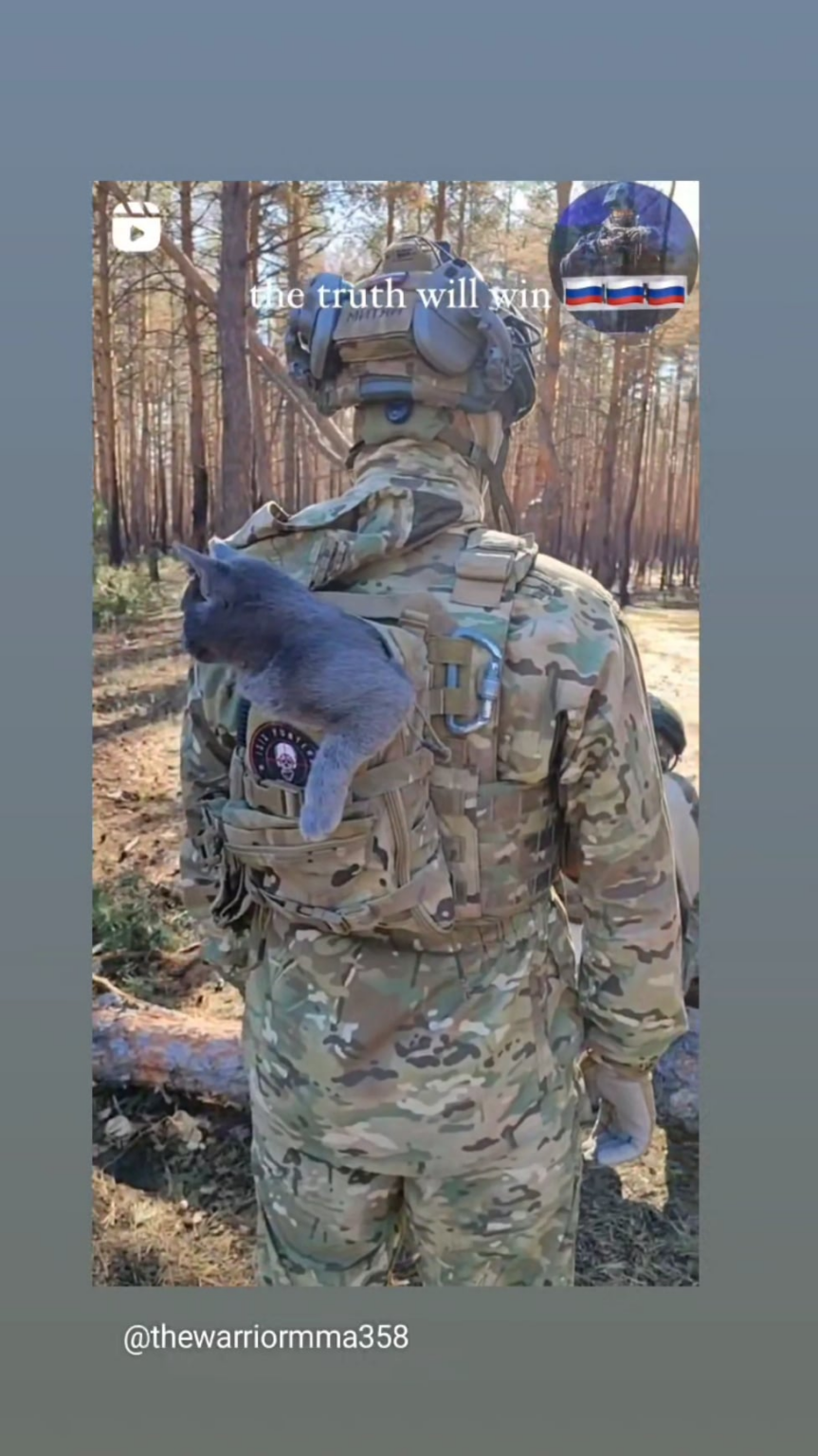 これ何のユニットかわかる人いますか？  （ロシアのために戦うインド人義勇兵）