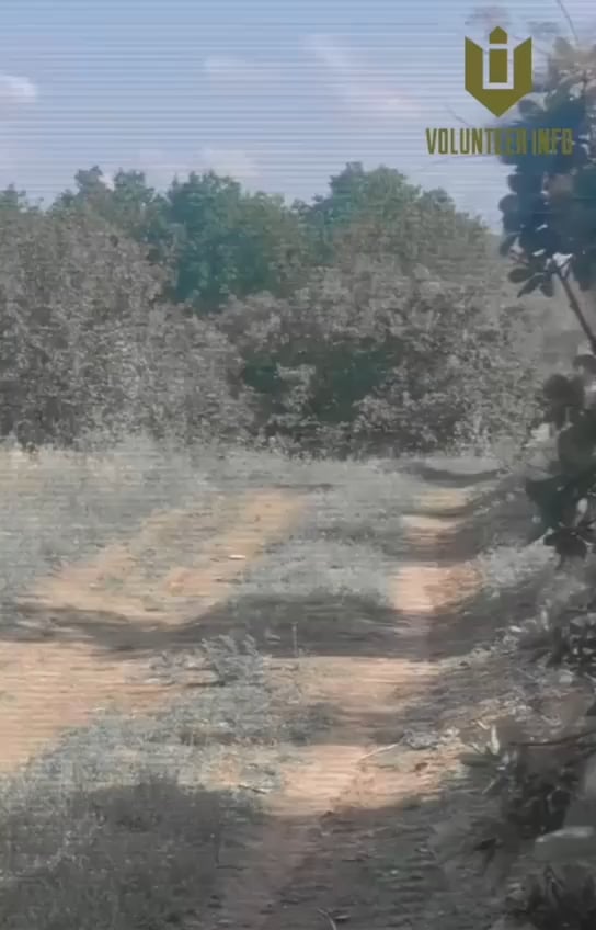 第 3 独立突撃旅団の M113 は、バクムット方面のウクライナ領土の解放を支援しています。 ウクライナは、ウクライナ領土の解放と防衛に向けた取り組みにおいて極めて重要な資産である、不可欠なM113装甲兵員輸送車を提供してくれた米陸軍に心からの感謝の意を表します。