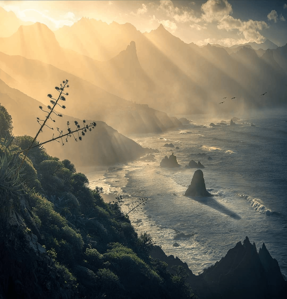 テネリフェ島、スペイン