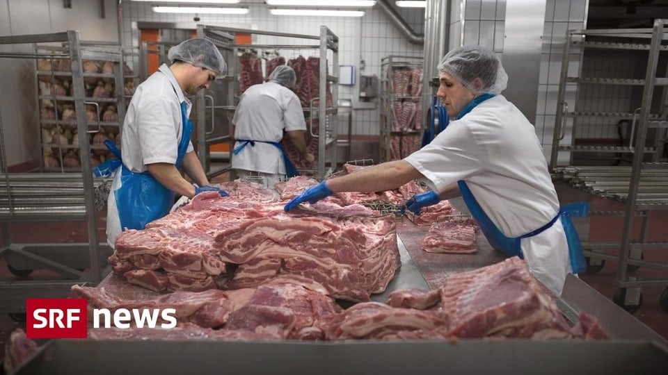 月額 4,200 フラン - 高賃金により、人気のない実習も魅力的になるはずです | 食肉加工業者ベルは、熟練労働者の不足に対抗するために懐を深くしたいと考えている。 他のセクターはより慎重だ。