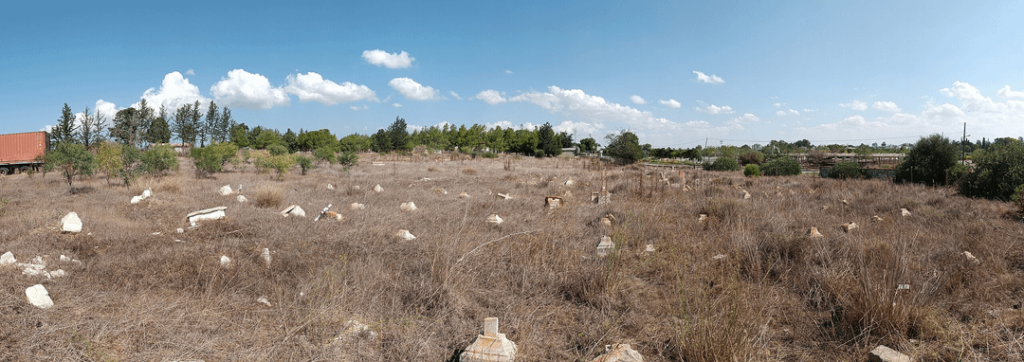 完全に放棄されたモルフォギリシャ人墓地