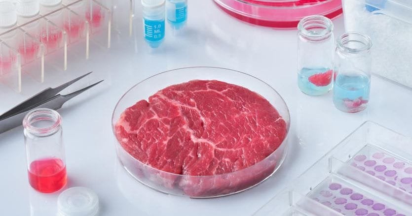 政府は続行：合成肉法案は11月6日から審議される