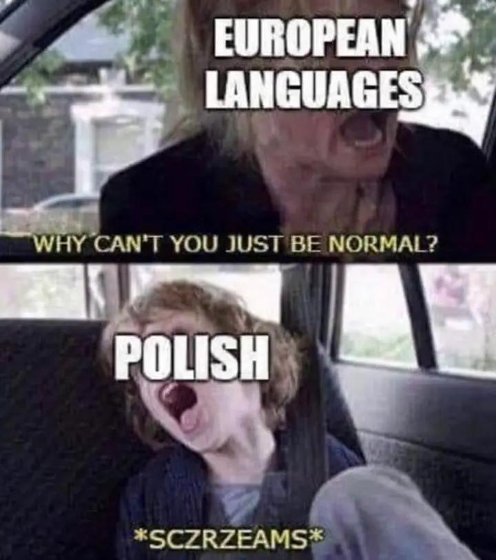 •○●°