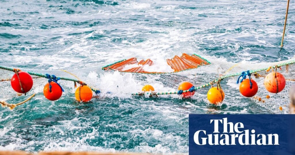 英国も「壮大な」サバ乱獲事故で非難される国の一つに