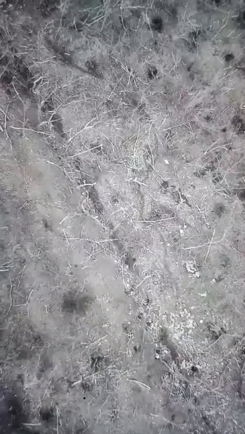 負傷し仲間に見捨てられたロシア兵士が手榴弾で自爆