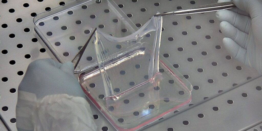 イタリアの最先端の医学研究センターの1つが閉鎖の危機に瀕