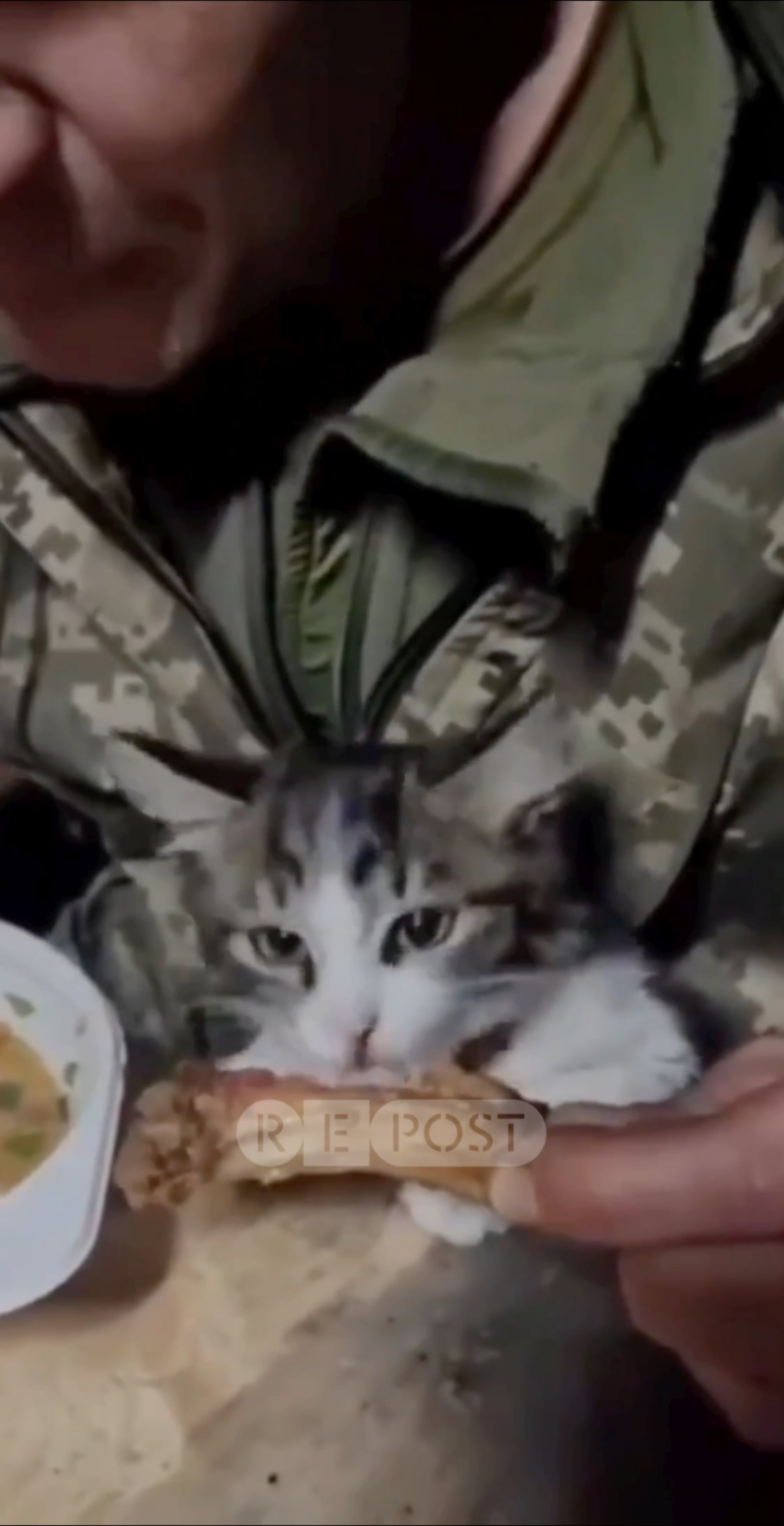 ウクライナ軍の動物仲間