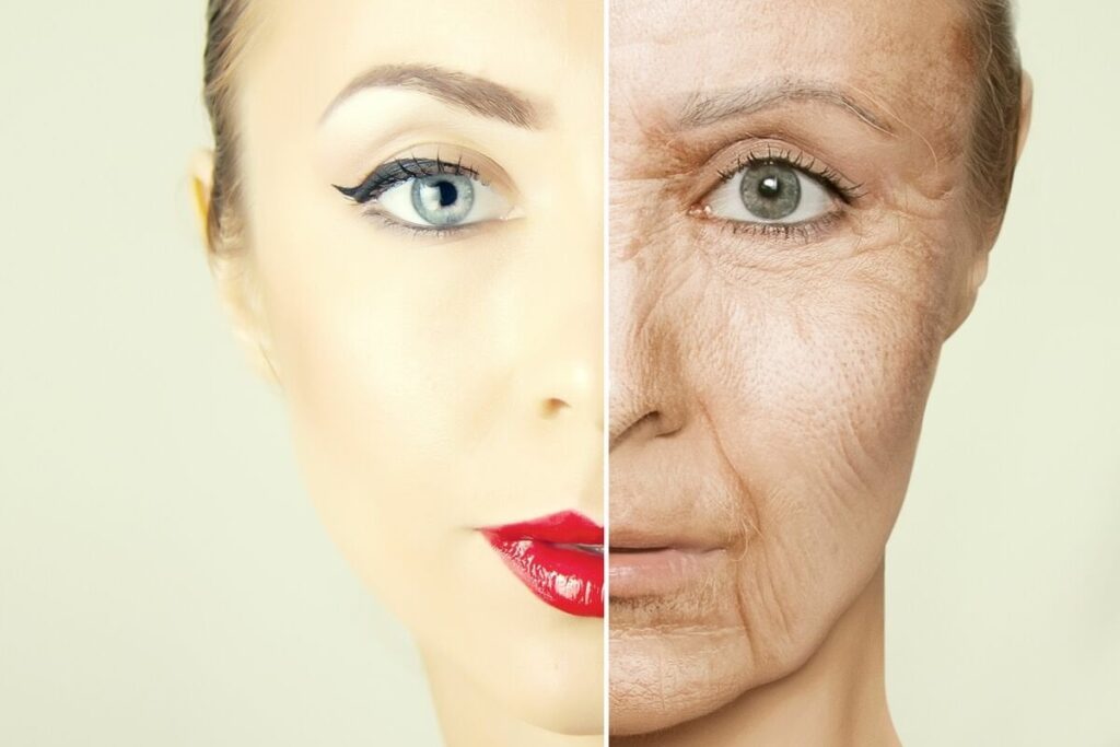 人の寿命は250年に！解明進む老化の正体、あと20年で「若返り」も夢ではない -「Scienc-ome」が照らす未来（1）老化研究、慶大・早野元詞氏