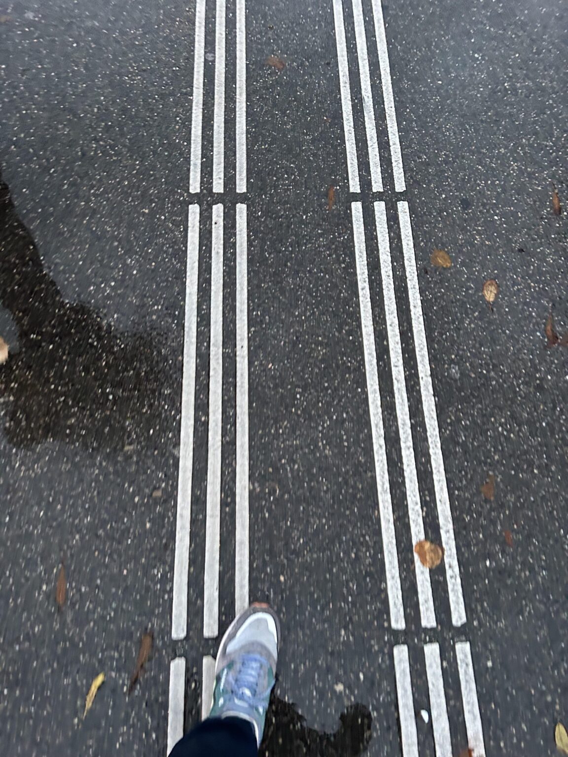 これらの行は何のためにあるのでしょうか? 複数の都市で見かけました。