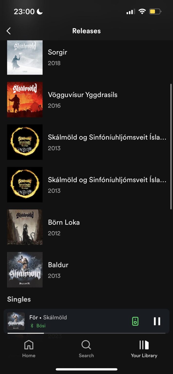 Spotify のスカルモルド