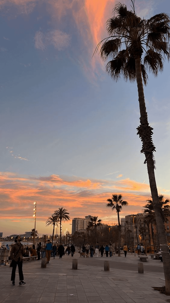 バルセロナで夕日を見る 🌅🫶🏻