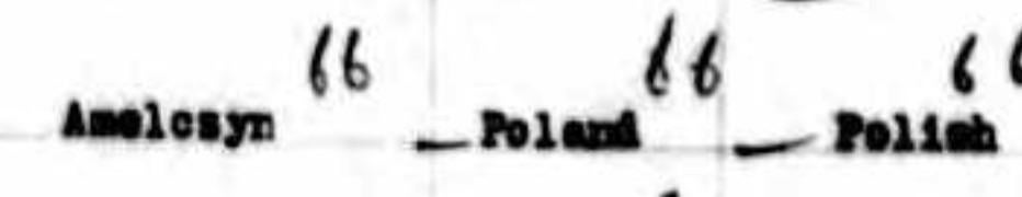 1930年代のポーランド、アメルシン？