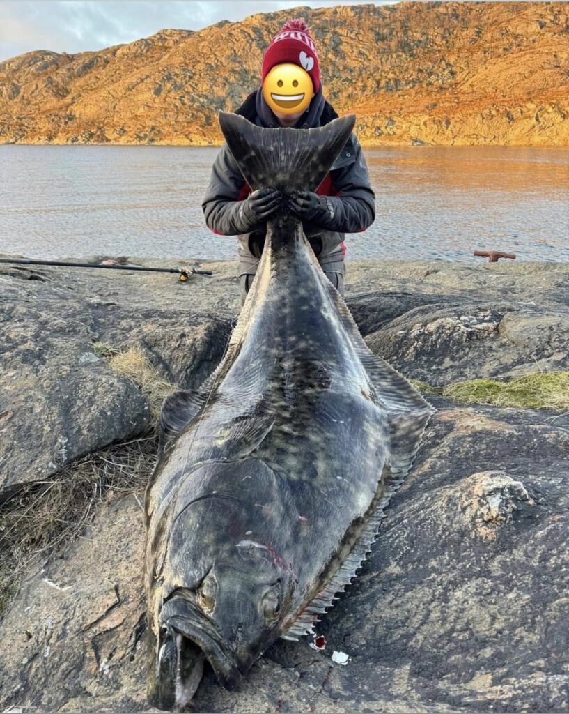 ノルウェーが大好きです