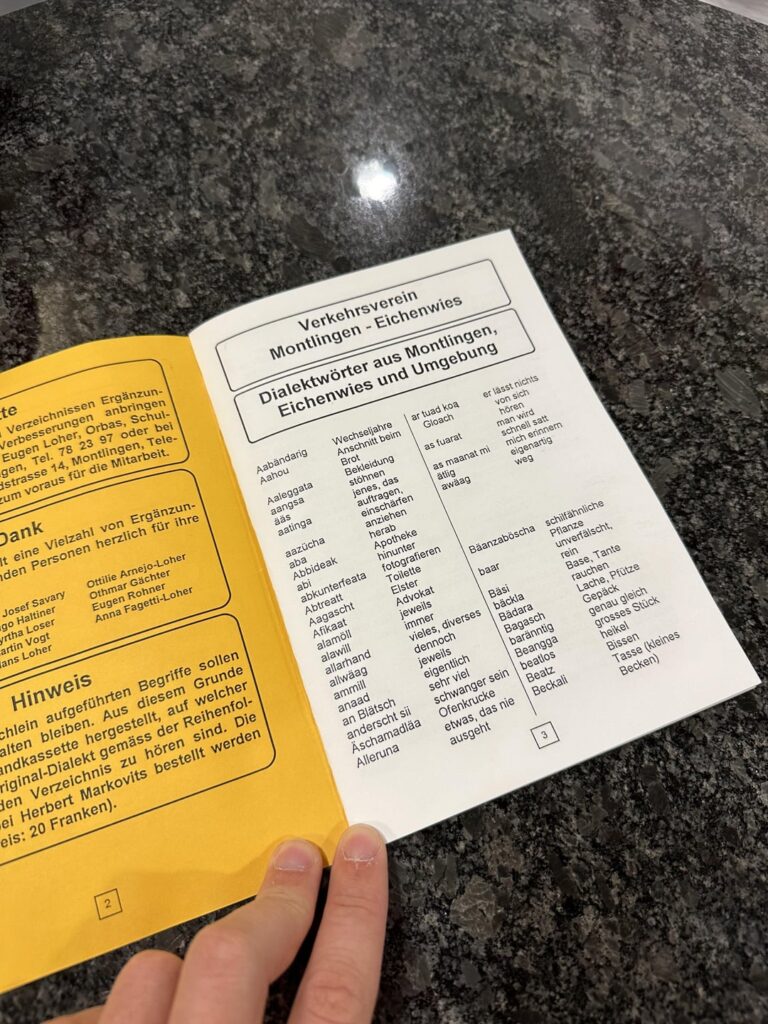 同僚はその辞書を職場に持ってきました。 同僚はその辞書を職場に持ってきました。