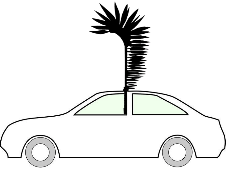 翼のある軽自動車 🚗🪽 - アドバイス?