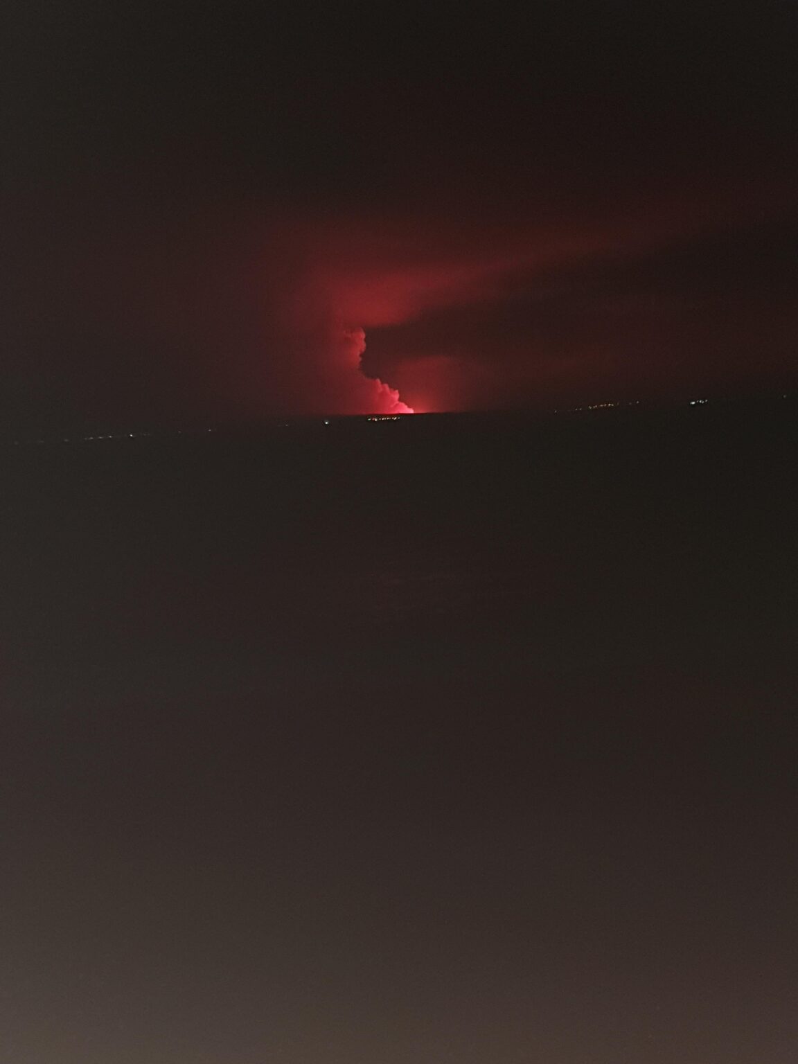 横からの写真