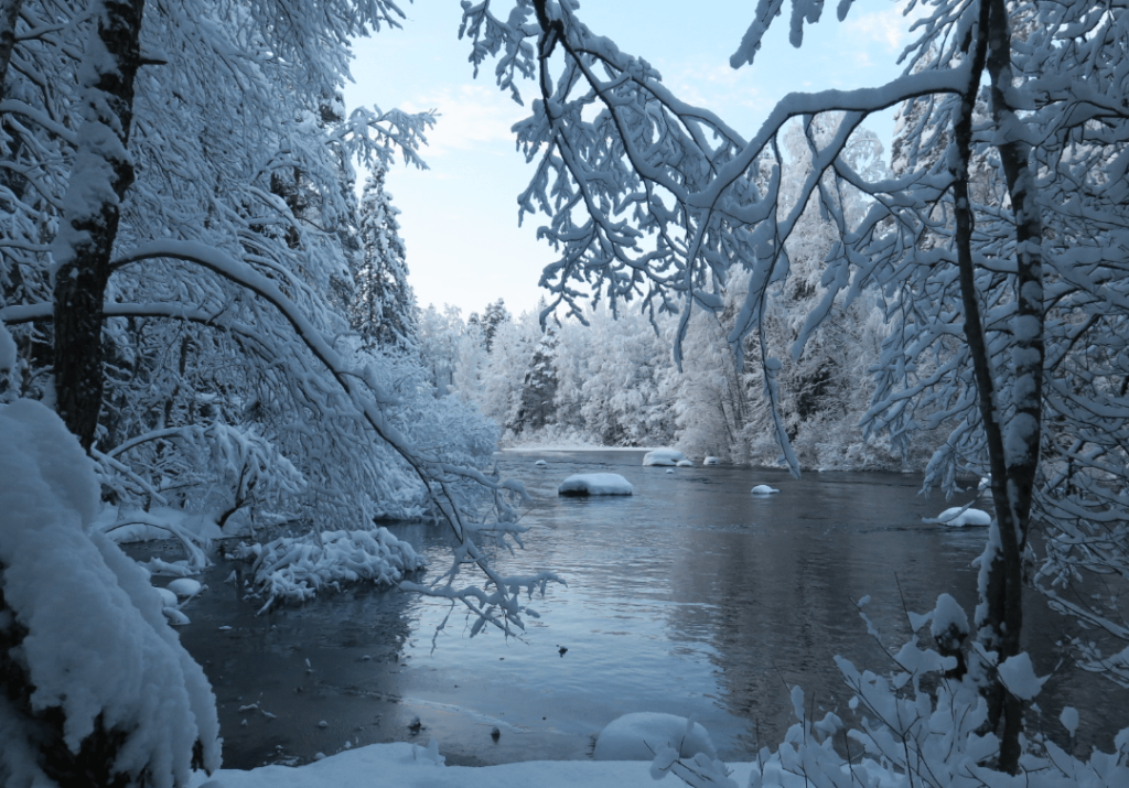 ここ南フィンランドの美しい冬の風景、これらは昨日の森散歩からのものです❄️