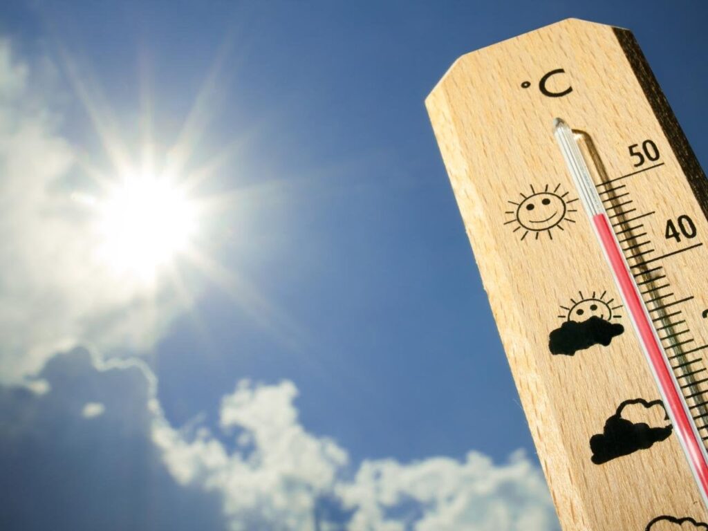 2024 年の気候変動パフォーマンス指数: イタリアは今年 29 位から 44 位に低下