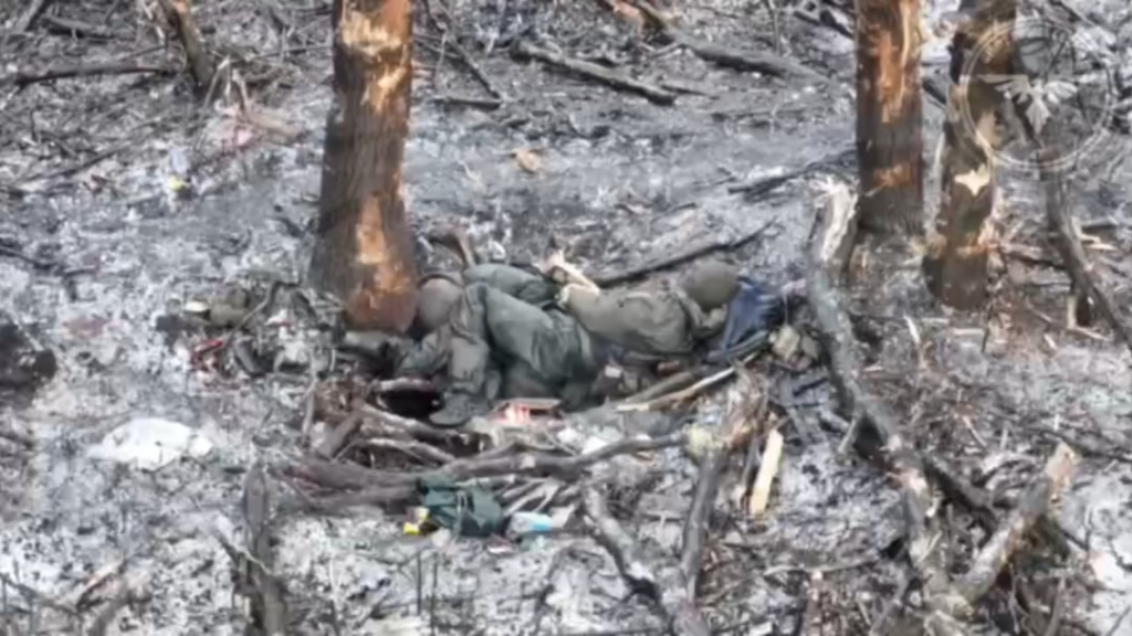 ロシア兵はFPVドローンによって完全に抹殺された。 グラフィック。