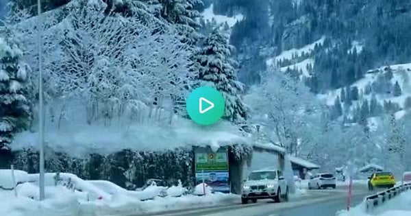 これはスイスの冬の素晴らしさを説明するのに最適なGIFでしょうか?