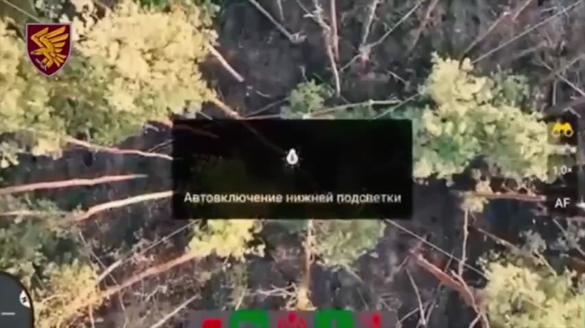 ウクライナの無人機が森の中でロシアの歩兵に手榴弾を投下。