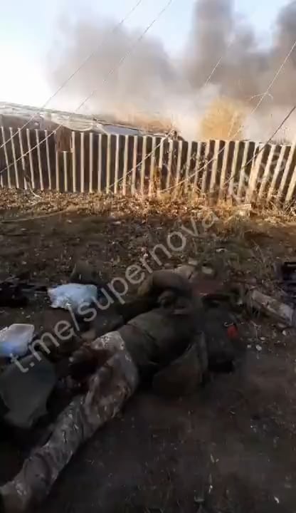 ドニエプル川左岸グラドキフカ付近で破壊されたロシア軍縦隊 2023年11月10日、ヘルソン地方