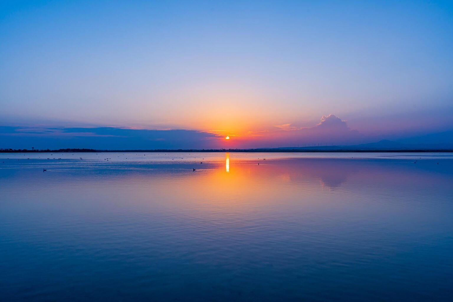 ラルナカ塩湖の夕日。 皆様もクリスマス休暇をお楽しみください。