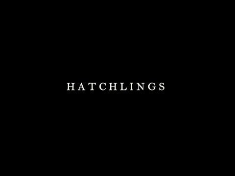 Hatchlings: マルタでサメを救うための短いインディーズ ドキュメンタリー (ナレーションは英語、字幕は英語とイタリア語)