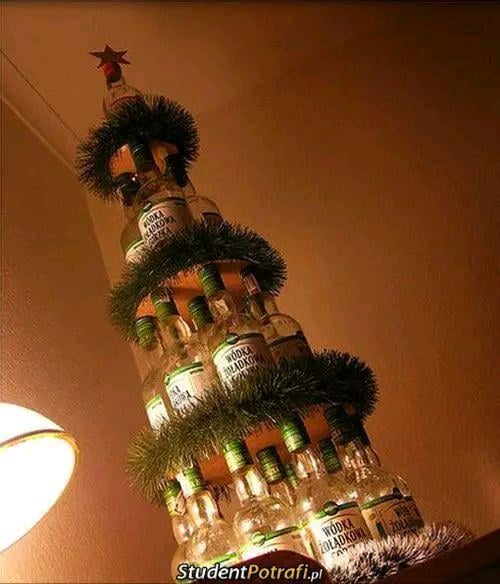 🎄🇵🇱
