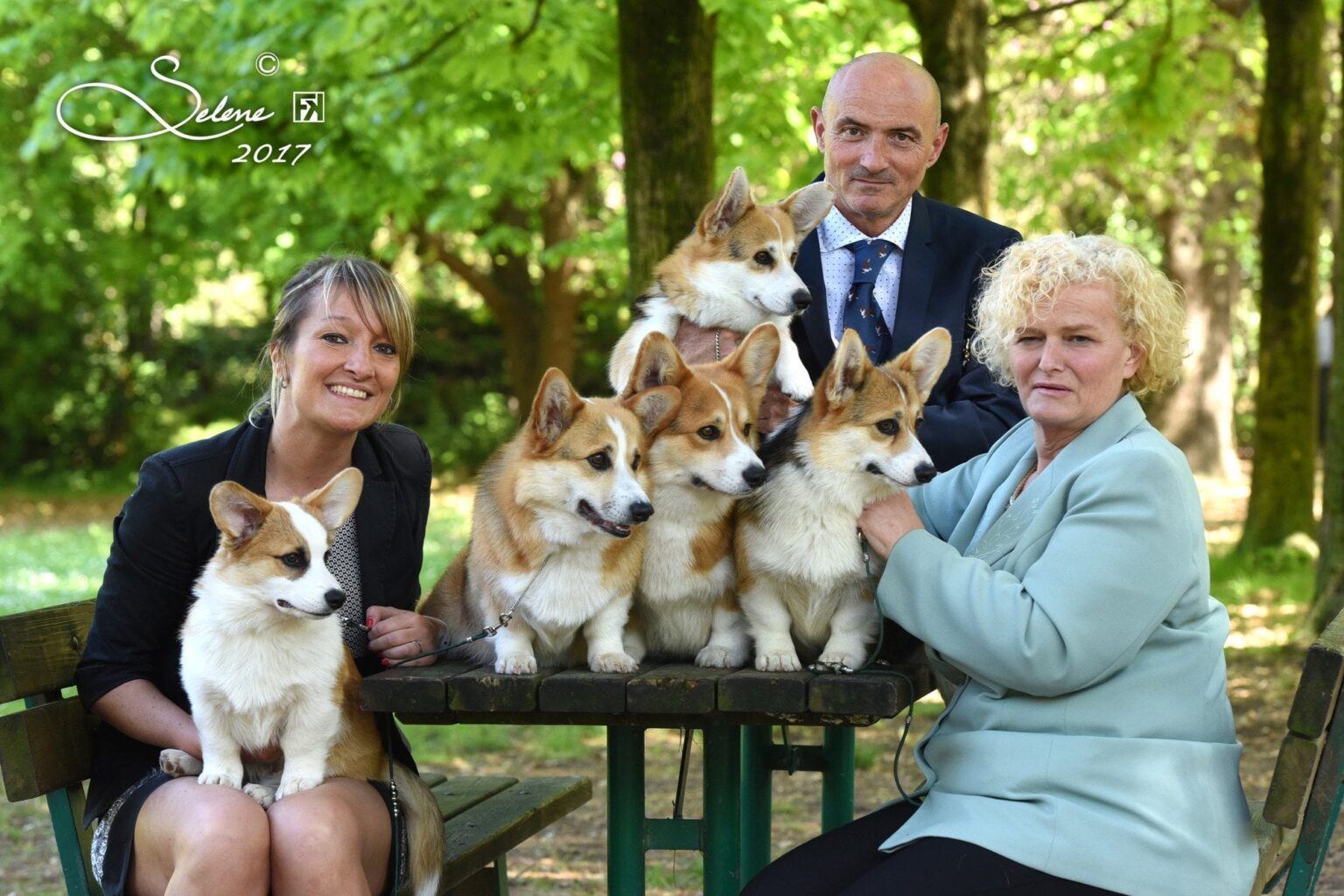 スイスでコーギーを飼う場所を教えてください。