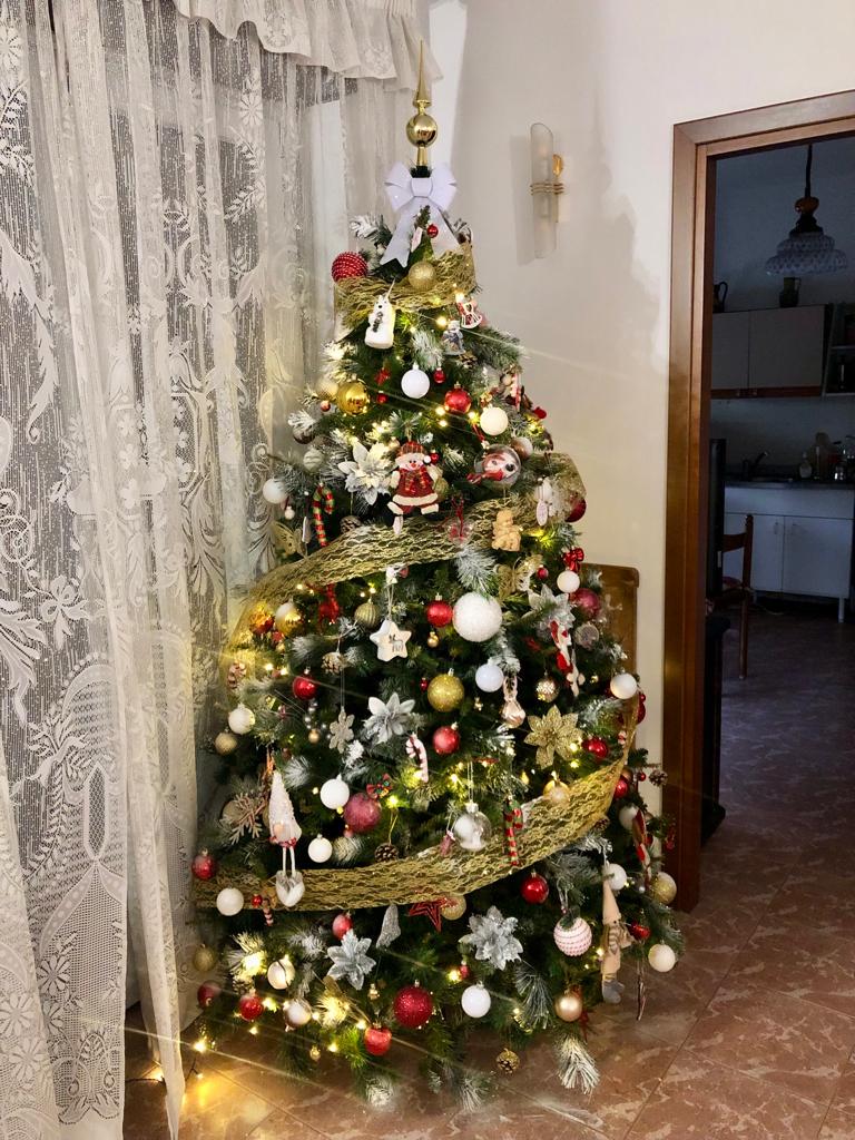 クリスマスツリーを披露する時期が来ました🎄