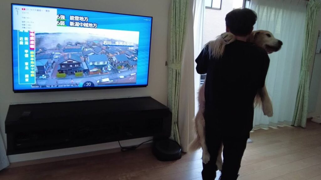 【2024年1月1日】緊急地震速報に歩けない犬を抱きかかえて避難する。