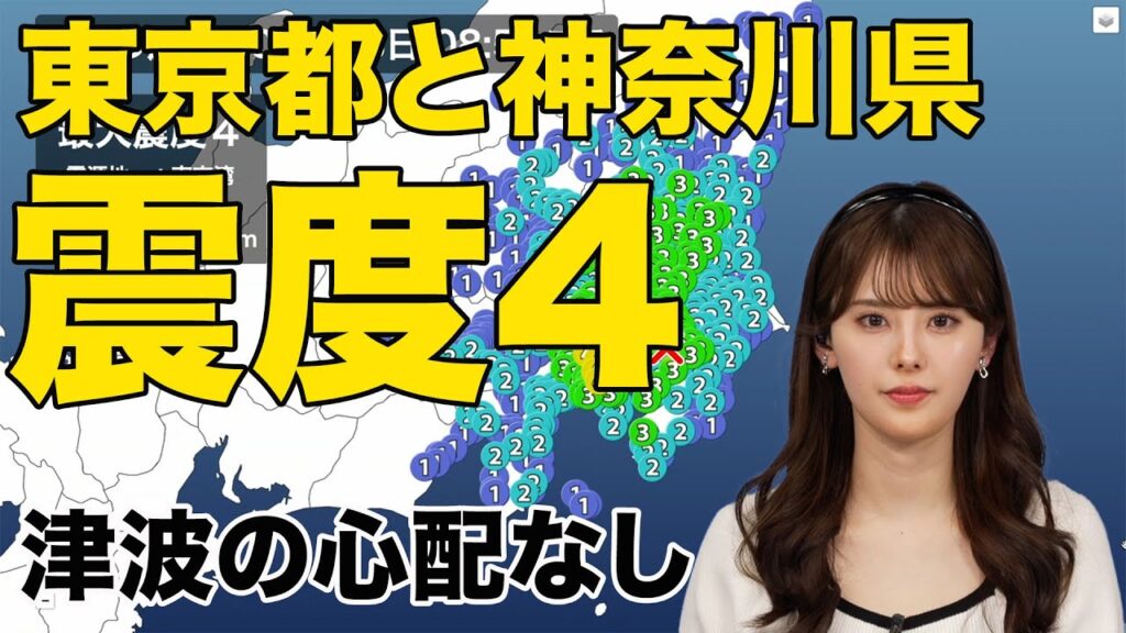 【地震速報】東京湾でM4.8の地震 東京都と神奈川県で震度4 津波の心配なし 【地震速報】東京湾でM4.8の地震 東京都と神奈川県で震度4 津波の心配なし
