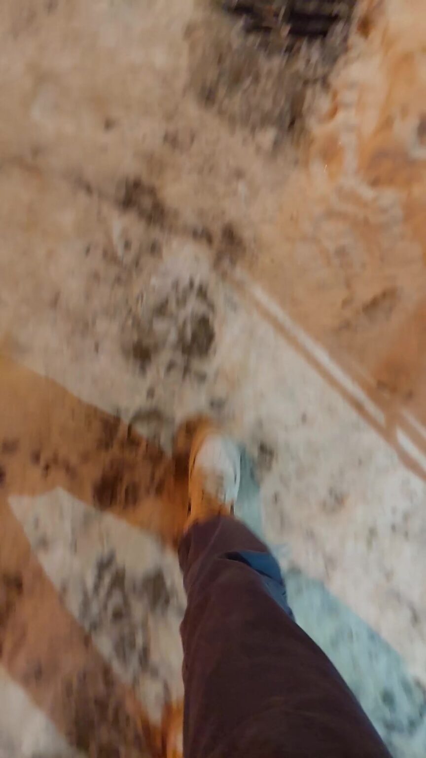 LVNPC