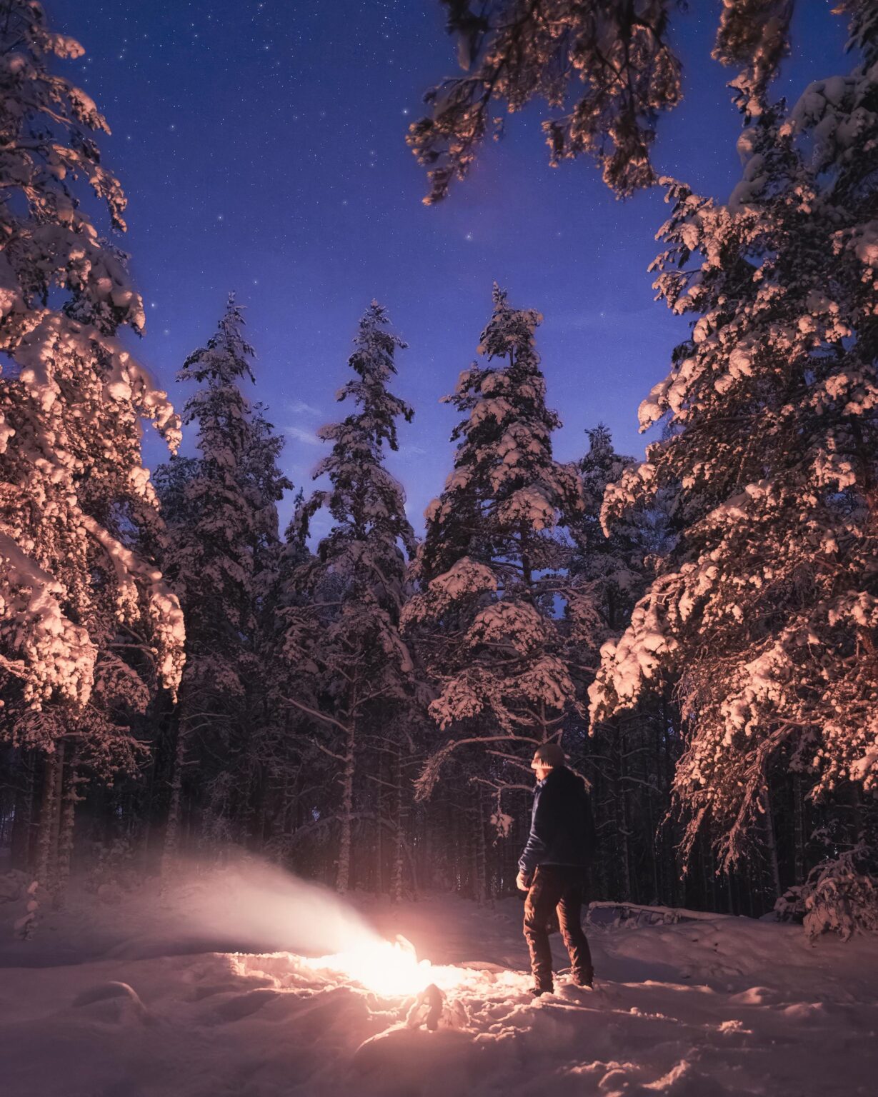 フィンランド、サロの星空の下、居心地の良い夜 -22°C。 [OC]