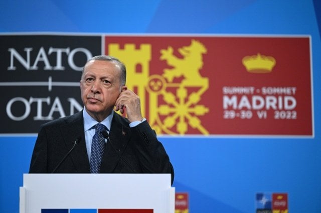 トルコ議会、スウェーデンのNATO加盟を承認 - 国際