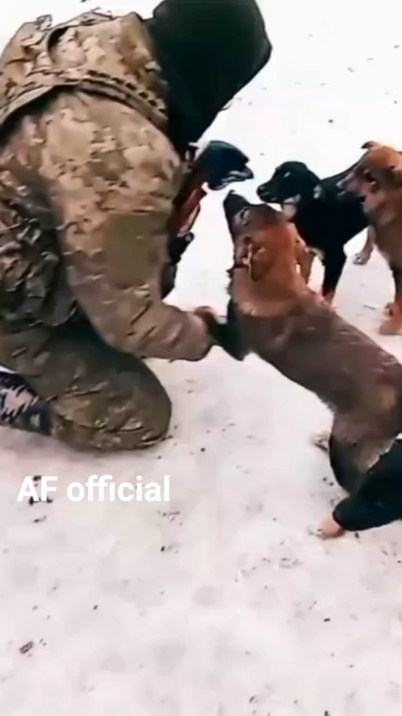 雪の中で子犬の群れを撫でるウクライナ兵士。