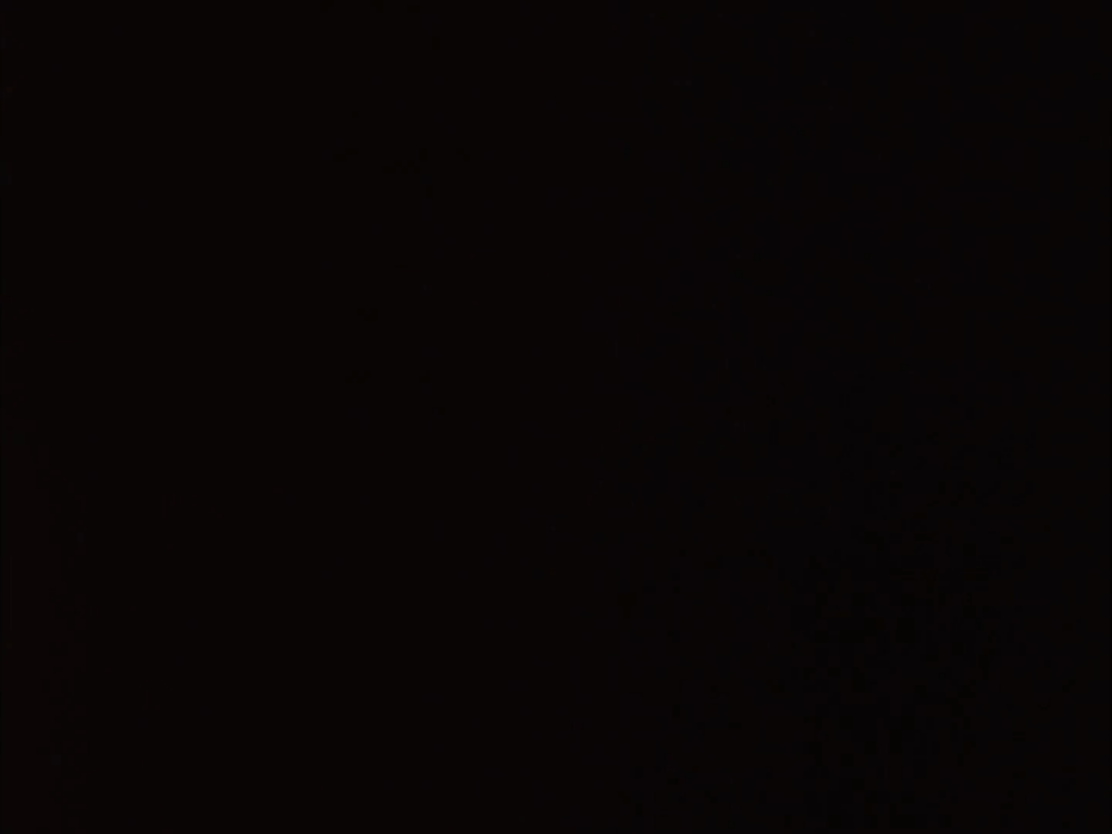ワルシャワの歴史的なロジツキ・バザール - ポーランド映画クロニクル、1994