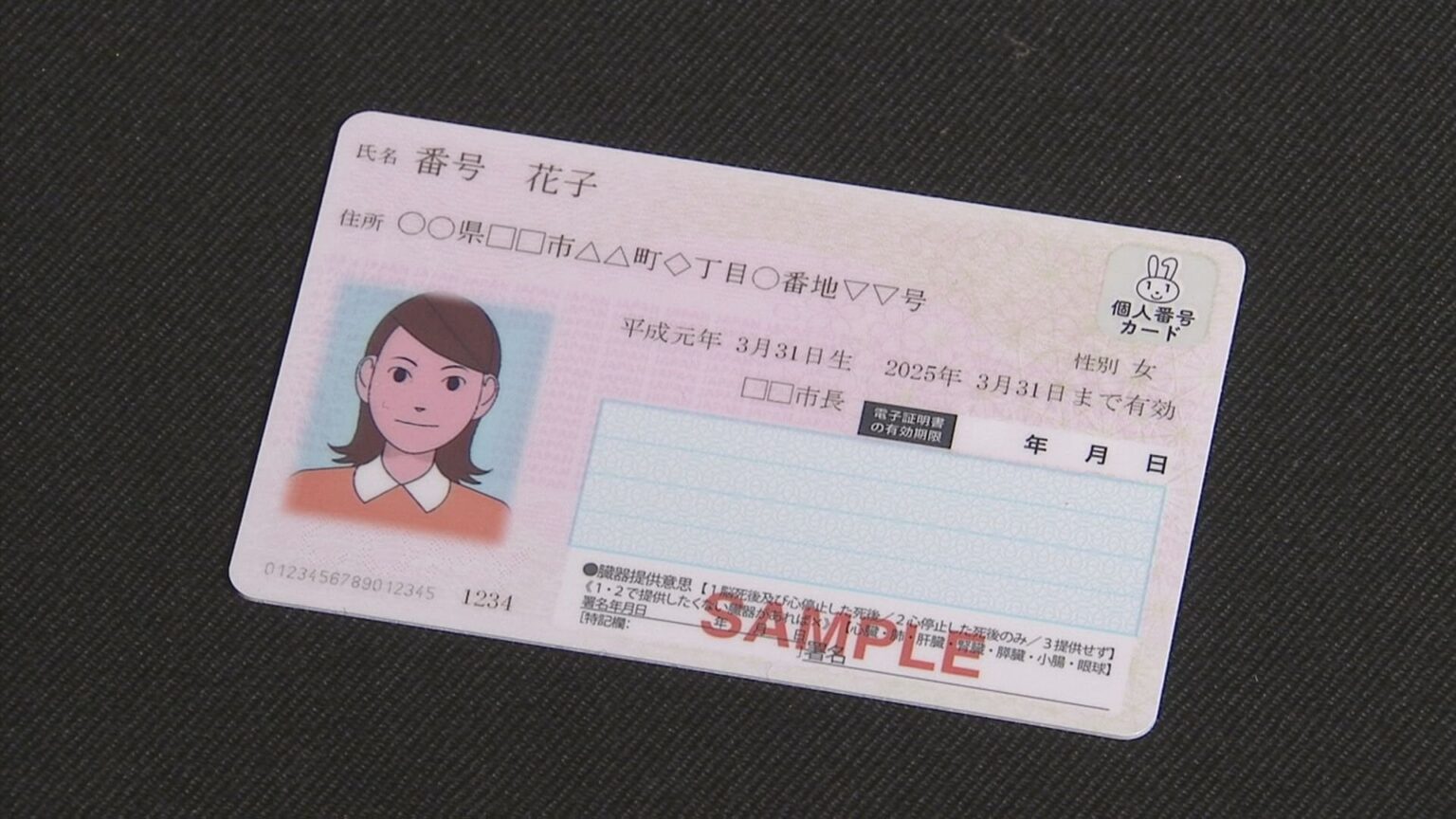 マイナカード所持者に東京ガールズコレクションのチケット先行販売へ