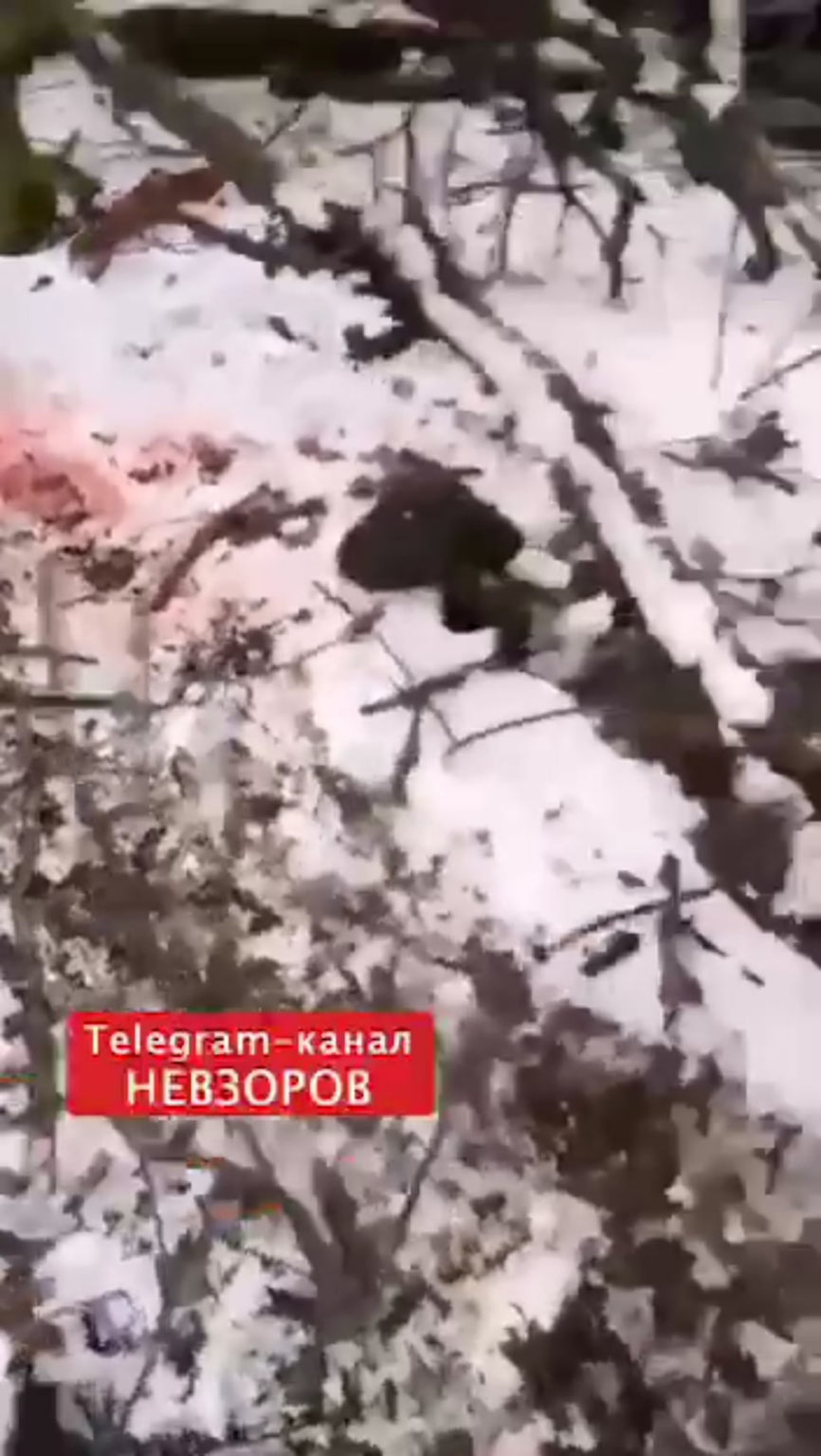 死んだロシア占領軍、非常に生々しい