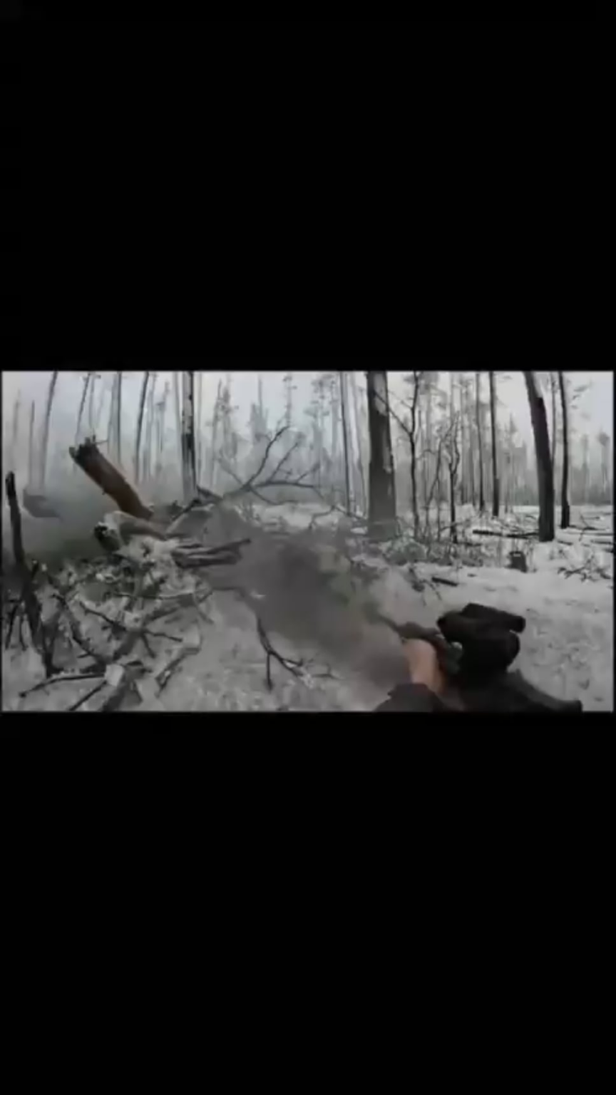 ルハンシク地方のクレミンナヤ森林で起きた銃撃事件の断片。 ウクライナ兵士側からのビデオ。 [sound on]