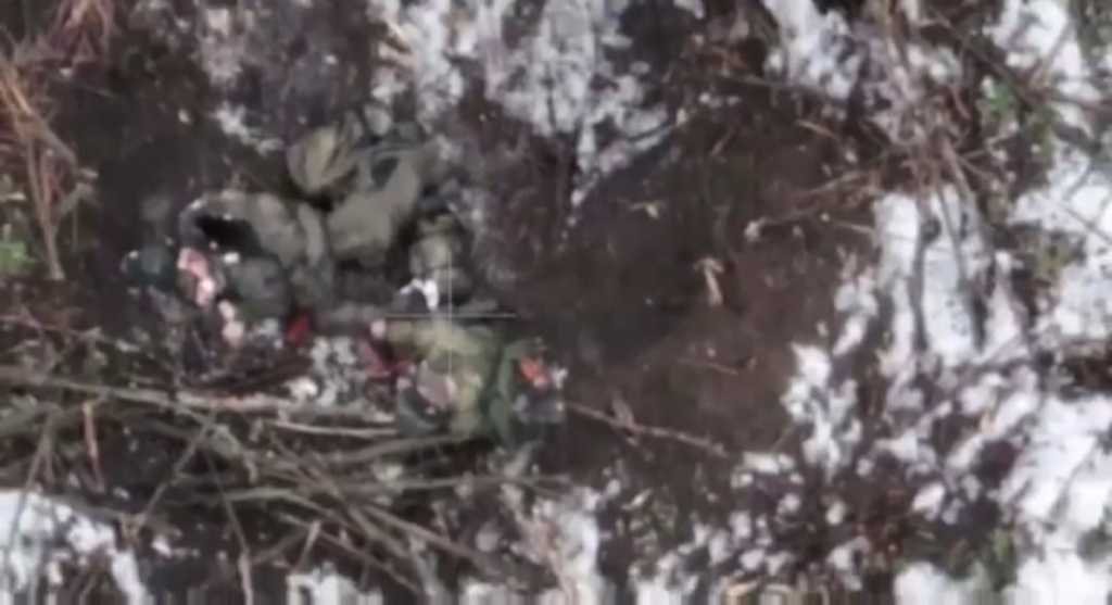 ロシア人2人が死亡、遺体の上には猫がぶら下がっていた