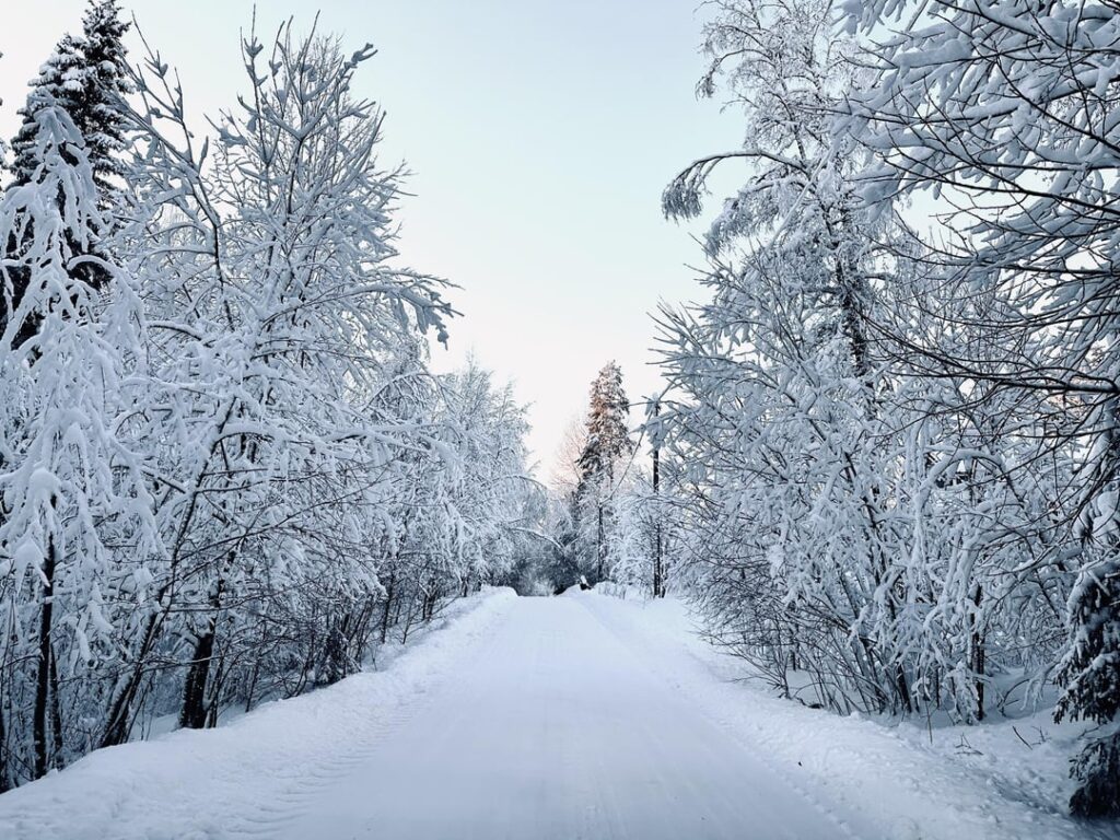 フィンランドではこの美しい雪道の整備はどうなっているのでしょうか？