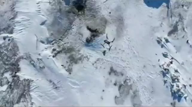 ウクライナの無人機がロシアの無人機を撃墜。 手榴弾を投げようとしている