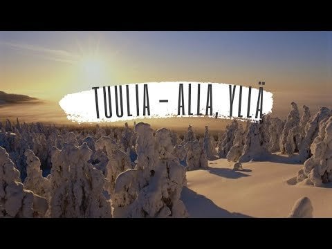 風 - 下、上。 ラップランドの森散歩