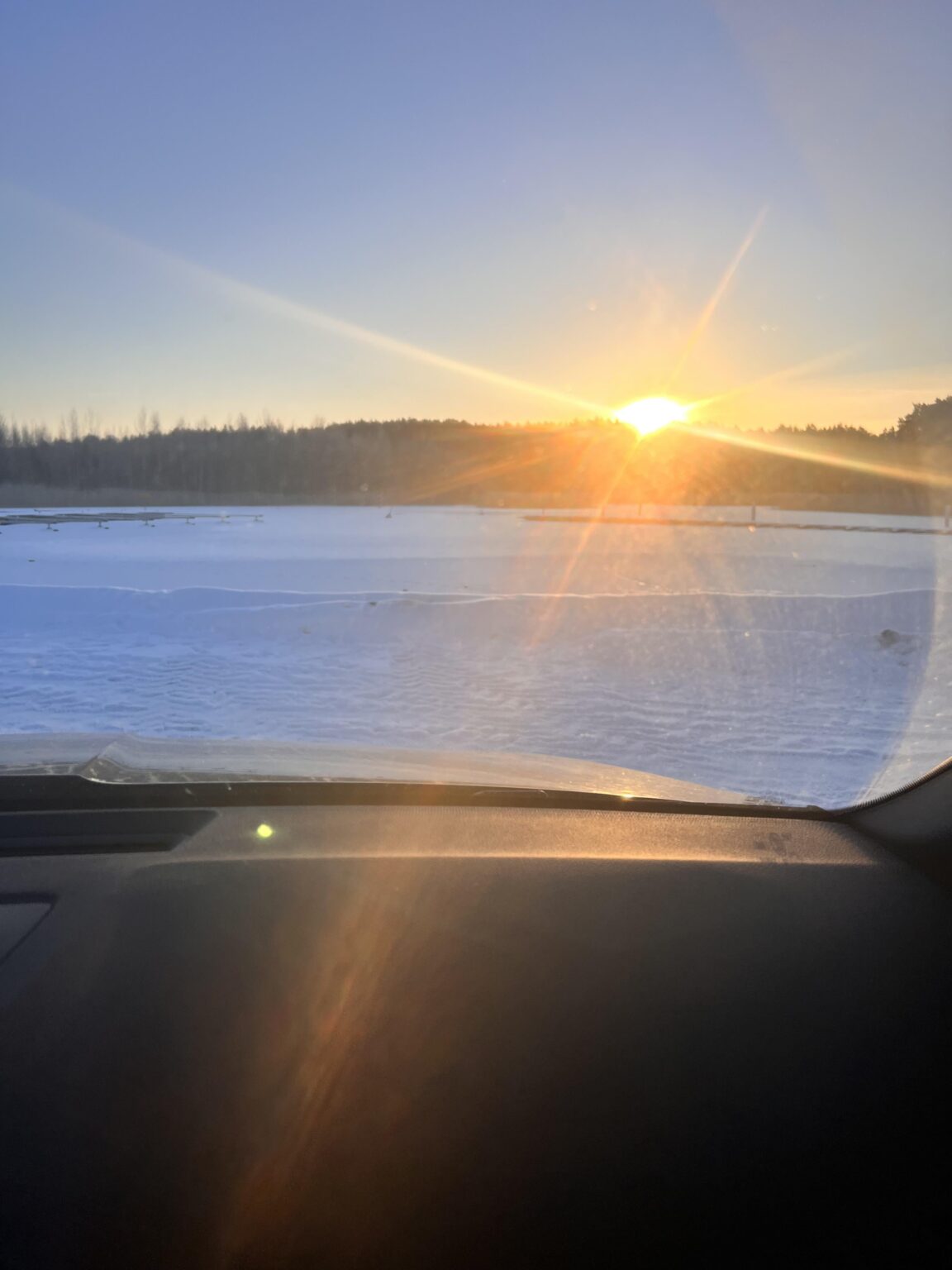 今朝のノーボ🌅😍